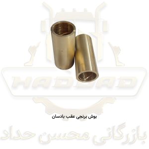 بوش-برنجی-عقب-بادسان